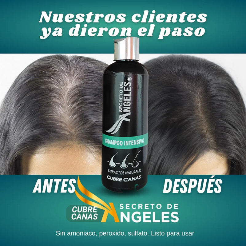 🌿Shampoo Original Natural Cubre Canas Secreto de Ángeles ➕ Colágeno y Exfoliante GRATIS🎁
