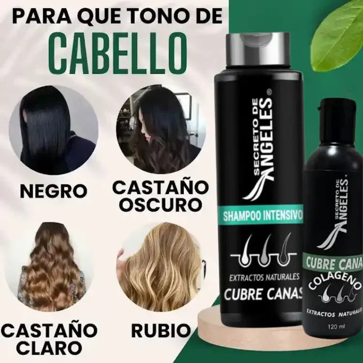 🌿Shampoo Original Natural Cubre Canas Secreto de Ángeles ➕ Colágeno y Exfoliante GRATIS🎁
