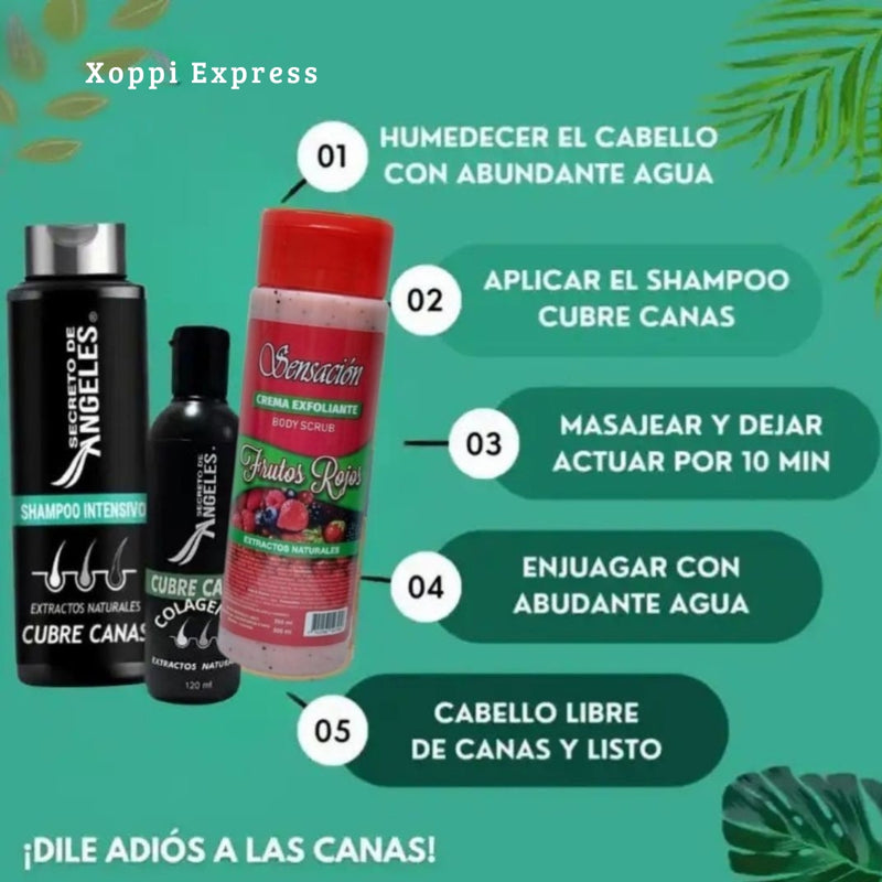🌿Shampoo Original Natural Cubre Canas Secreto de Ángeles ➕ Colágeno y Exfoliante GRATIS🎁